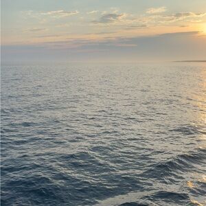 Meet your Posher, Lily